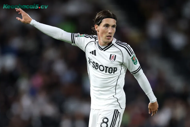 Đội hình dự kiến trước trận Crystal Palace vs Fulham